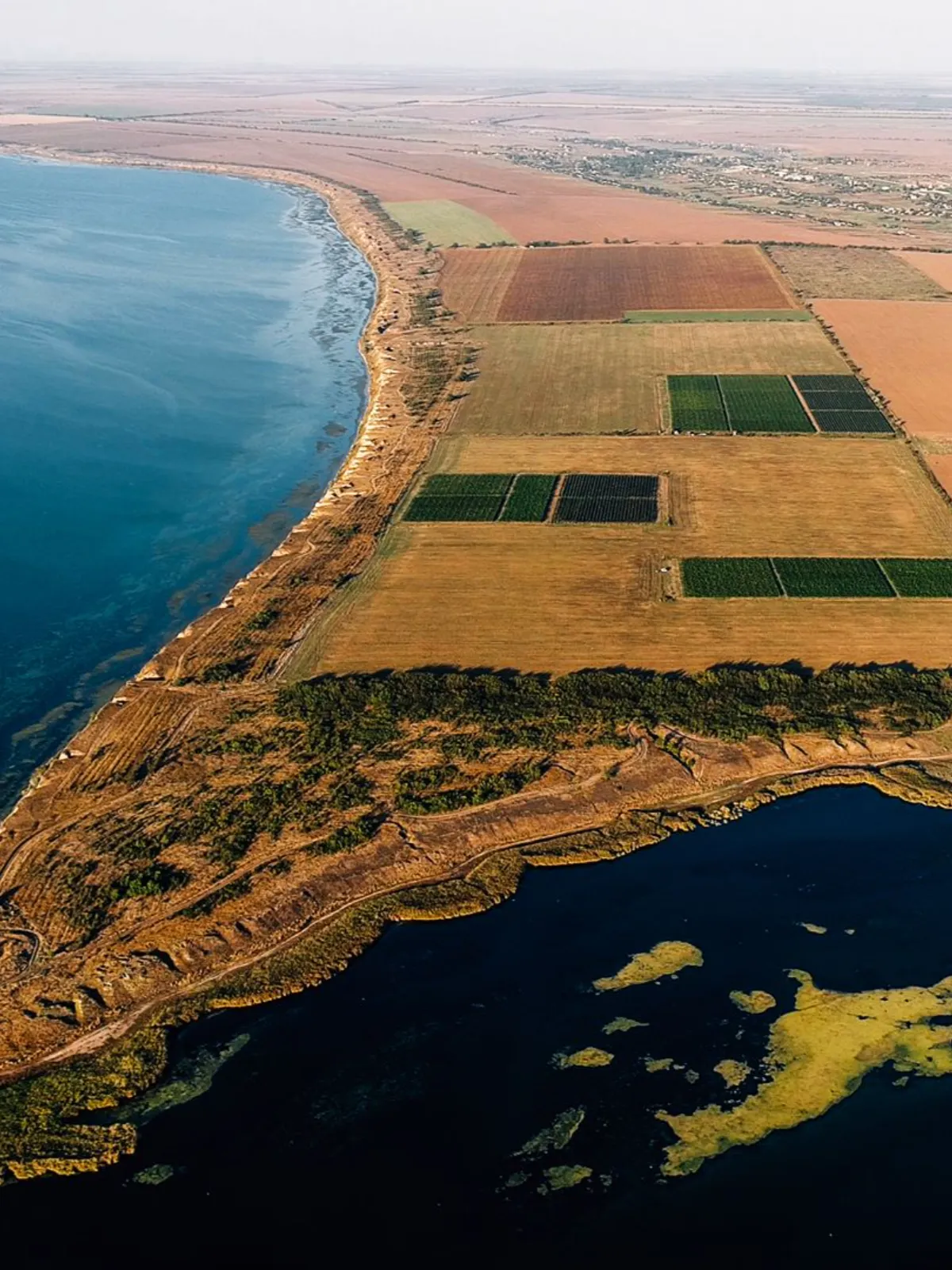 Українські виноробні під час війни: історії, які варто знати